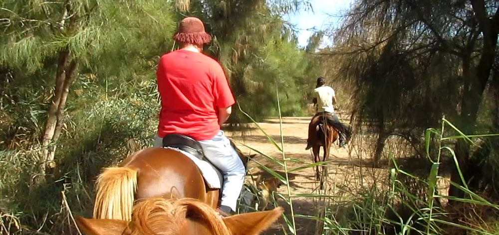 Конные прогулки в лес в Хургаде