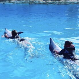 Дельфинарий в Хургаде