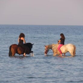 Конные прогулки в море из Хургады