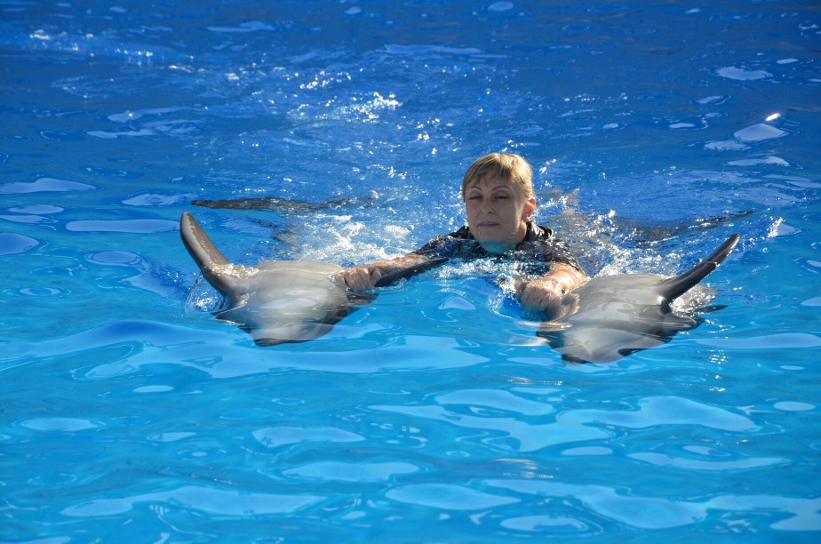 Плавание с дельфинами в Хургаде